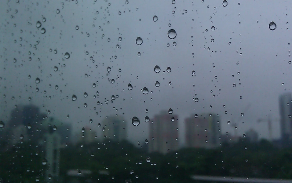 阴转大雨图片