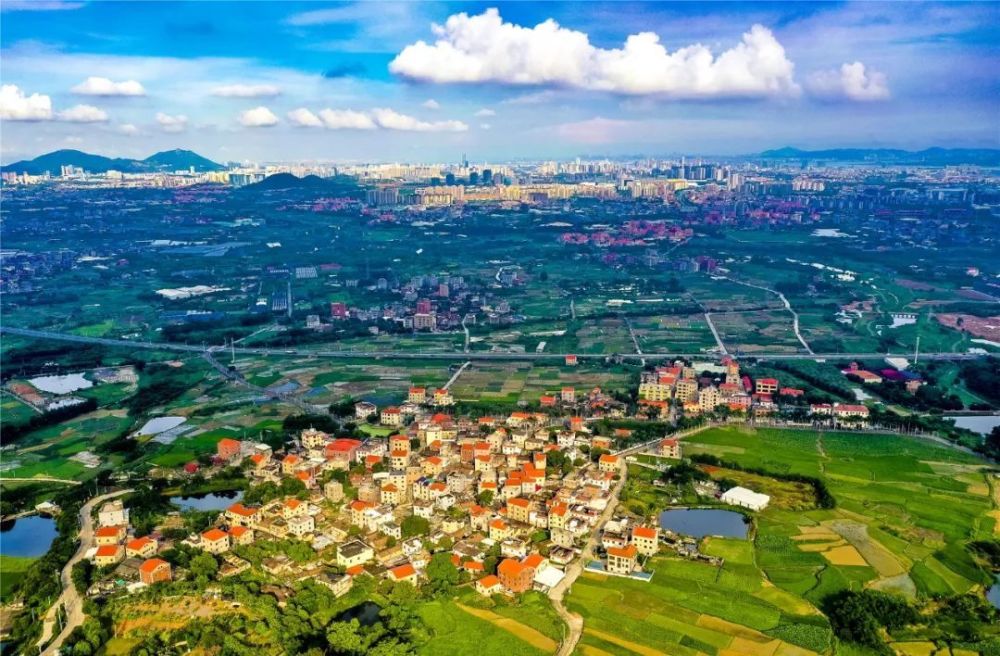 生态美产业兴灌口田头有了省级新头衔