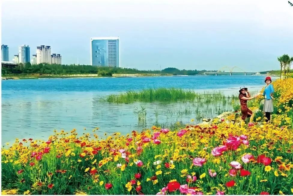 跟着导游游宿州|碧水穿城-宿州新汴河景区_腾讯新闻