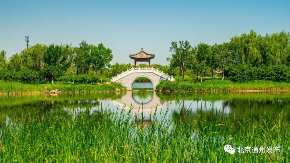 關注志愿者日｜密云這位企業(yè)主停工不降薪，和同事做起防疫志愿者福爾摩斯大偵探小學版在線閱讀學校老師要學生買騰訊開心鼠