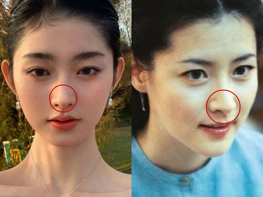 比起韩佳人的鼻子,你更喜欢哪一个?插图21