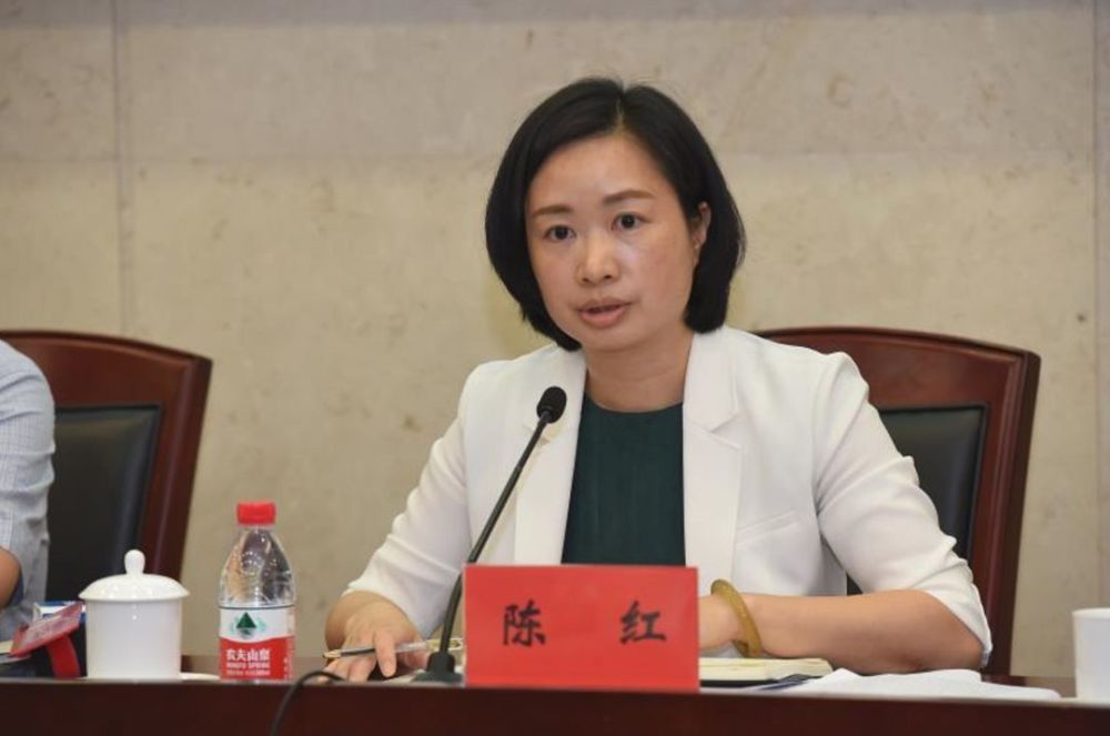 副厅陈红跨省履新