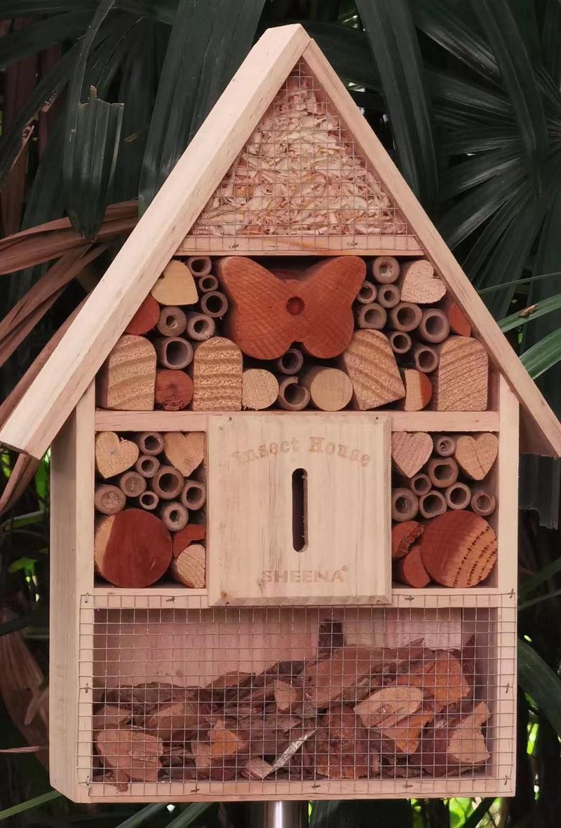 【中英双语】广州流花湖公园"昆虫旅馆"开始"营业"_腾讯新闻