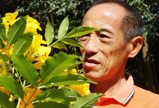 护林先锋邓新稳守护森林40载植树造林33万亩