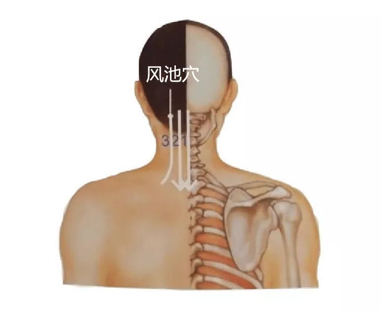 世界艾乡资讯-头痛刮痧方法,自我刮痧能保健-健康资讯-世界艾乡官方
