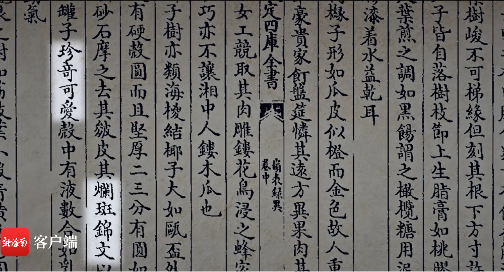 跟着非遗看海南丨椰雕斑斓锦文珍奇可爱