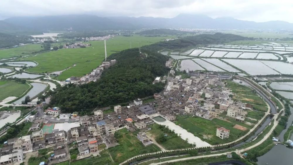 惠东铁涌镇:抢抓特色资源优势 走出乡村经济发展新模式_腾讯新闻