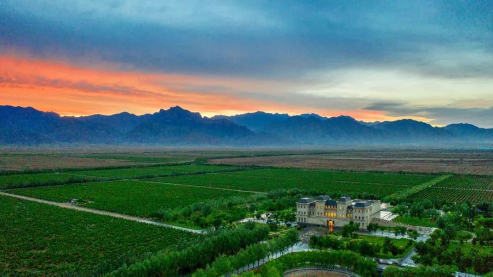 贺兰山东麓孤独酒庄生活即艺术的纯粹风味有何与众不同