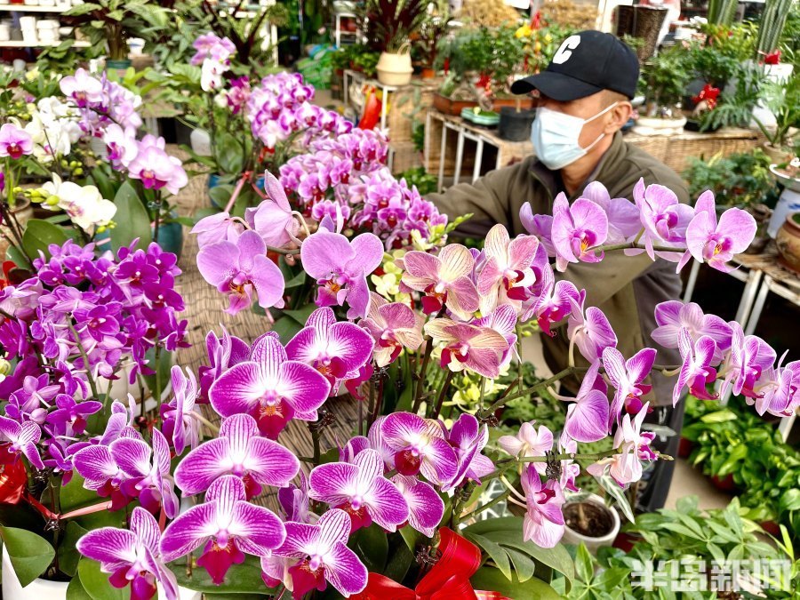 "元旦和春节都逐渐近了,李村大集花卉市场也渐渐热闹了起来,不光我们
