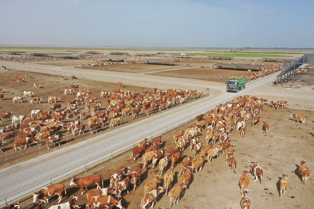 一企一策促生产新疆叶城县企业一线见闻