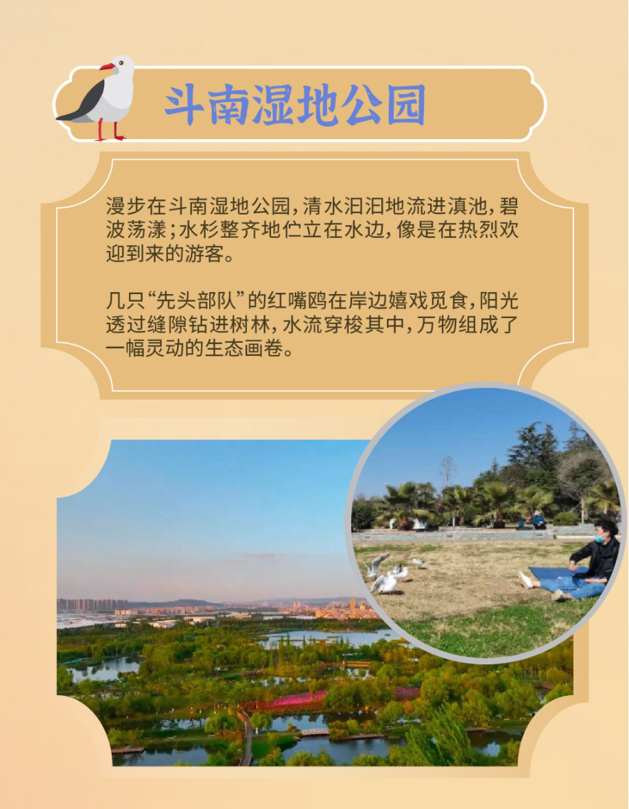 今日大雪|"鸥"遇呈贡冬日_腾讯新闻