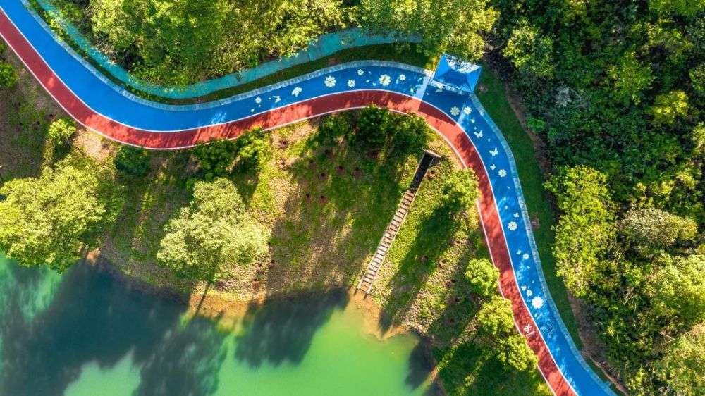 惠州市区又多一个"世外桃源"_腾讯新闻