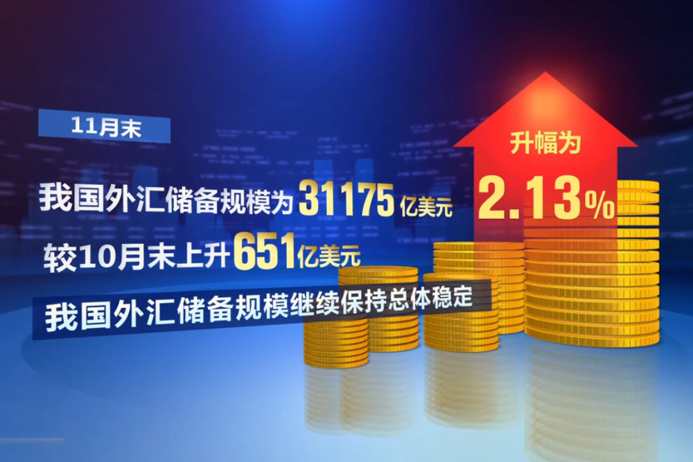 国家为什么要储备外汇_建设银行 上海 购买外汇 分行_外汇储备购买力