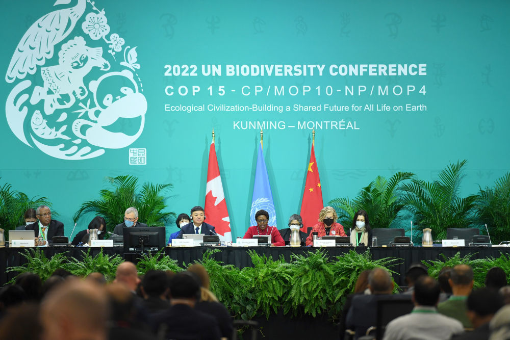 万物并育和合生——中国积极推动全球生物多样性治理进程海油发展党委书记