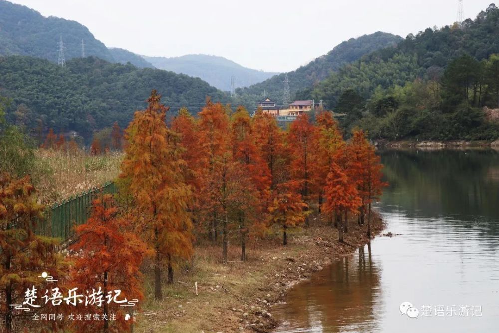 水库西南方向的溪流名为大溪,溪畔分布着袁马村和杜徐岙村等村落,袁马