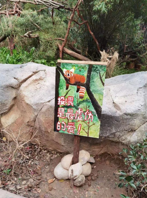现在,红山动物园里,禁止投喂的标识随处可见.