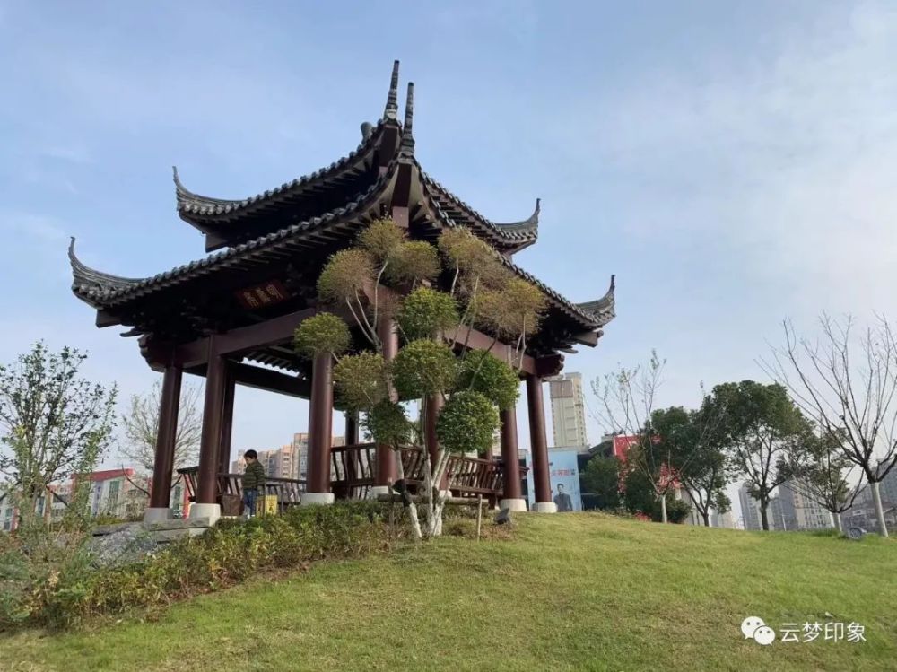 省考察组来云梦开展国家园林城市申报初审活动_腾讯新闻