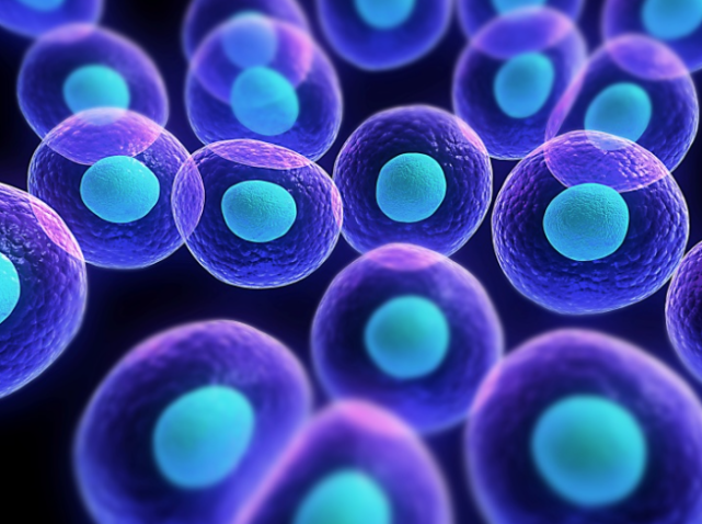 【cell】史上最全人类肺细胞图谱问世!