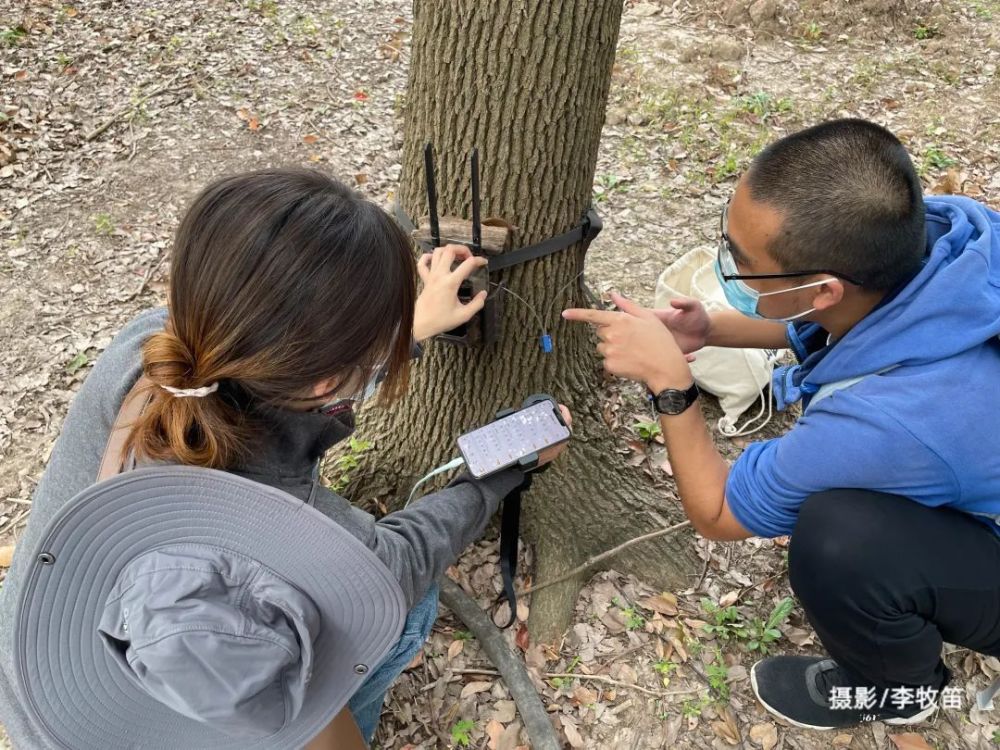 南京招募和动物们共享绿地奥体行动小队集合