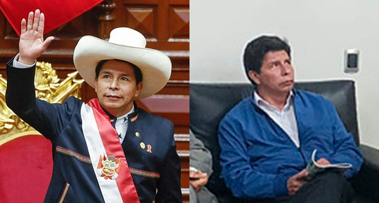 秘鲁总统被捕，罪名是“未遂政变”高一上册生物电子书