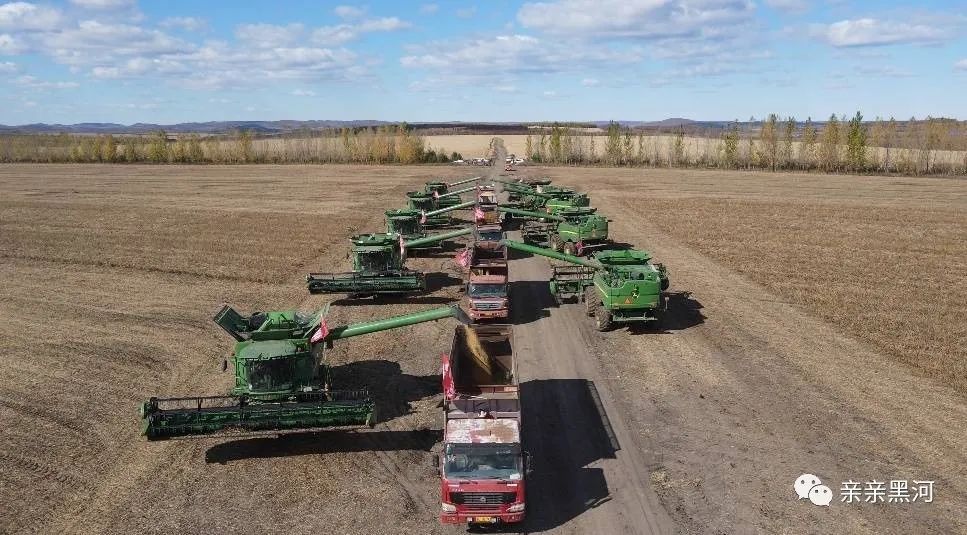 黑河成为全国最大的大豆生产地级市_腾讯新闻