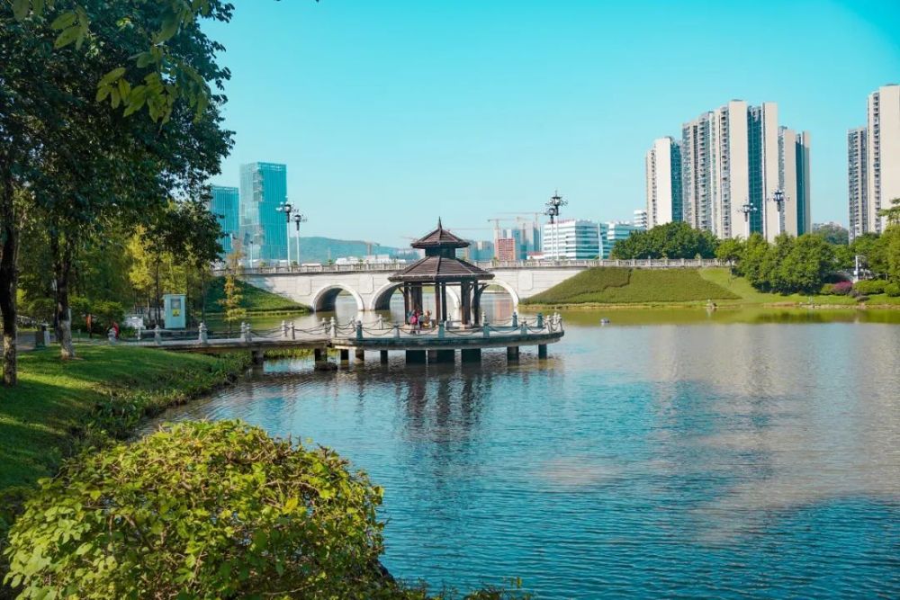 凤凰湖是知识城有名的露营胜地,因为离它不远的九龙湖还没有建设完工