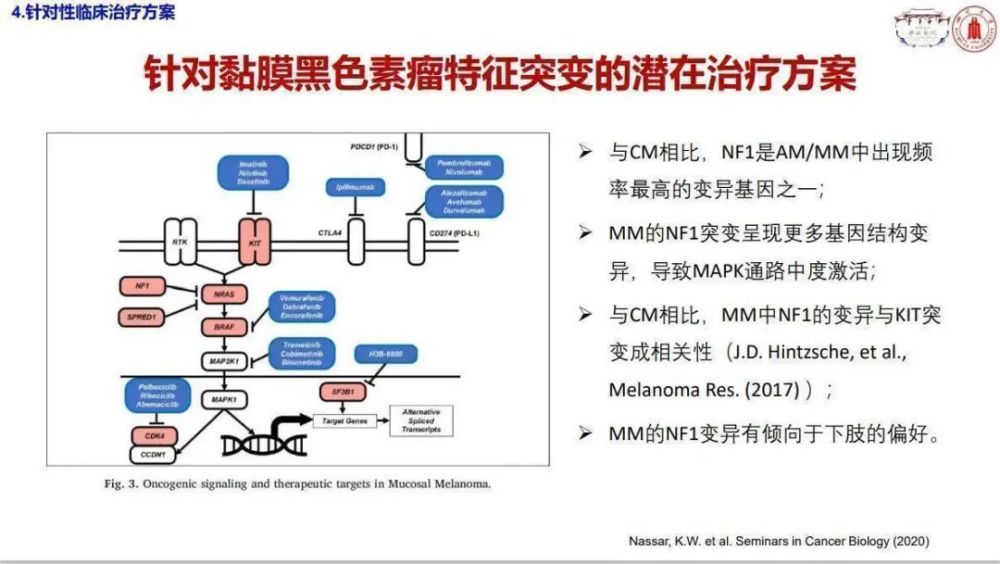 中国braf恶性黑色素瘤优化诊疗临床实践与交流项目