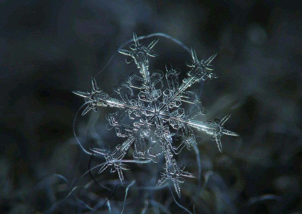 没有两片雪花是相同的每年降雪1千万亿立方米真没相同的吗