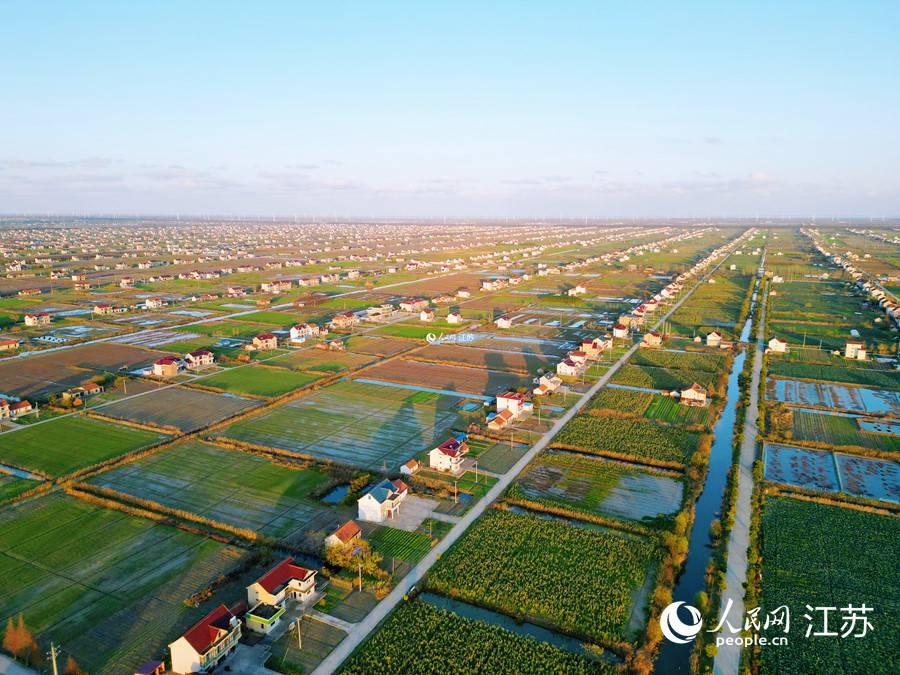 江苏如东强民村:种植蔬菜 强村富民_腾讯新闻