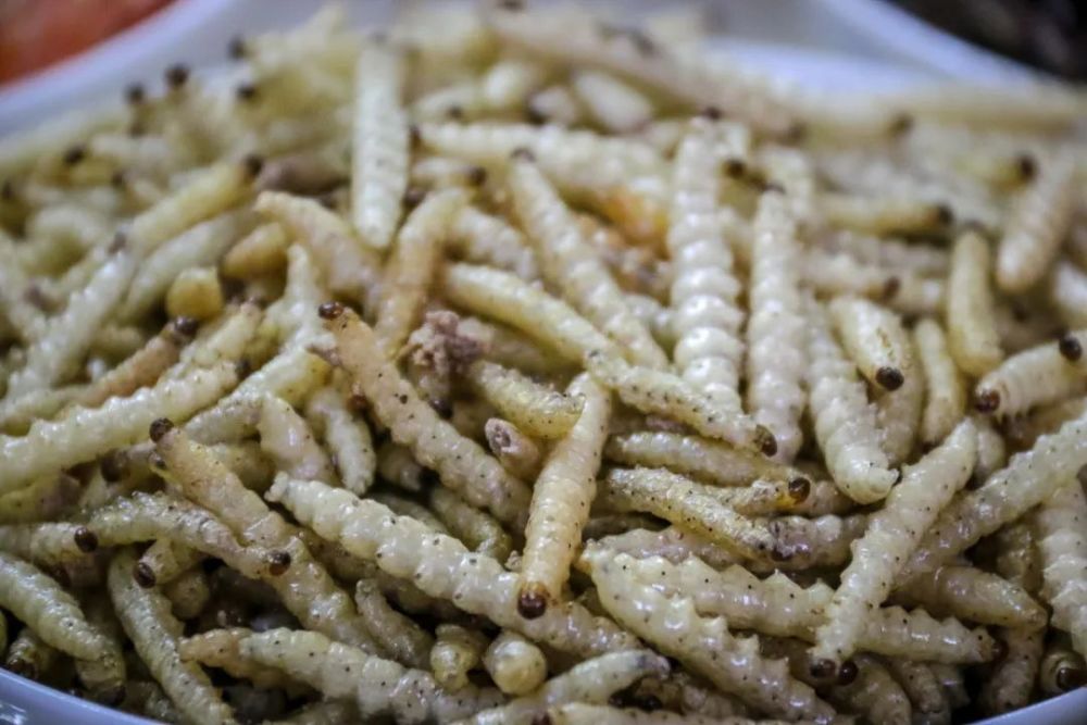 乐享云南|美食·元阳哈尼风味_腾讯新闻