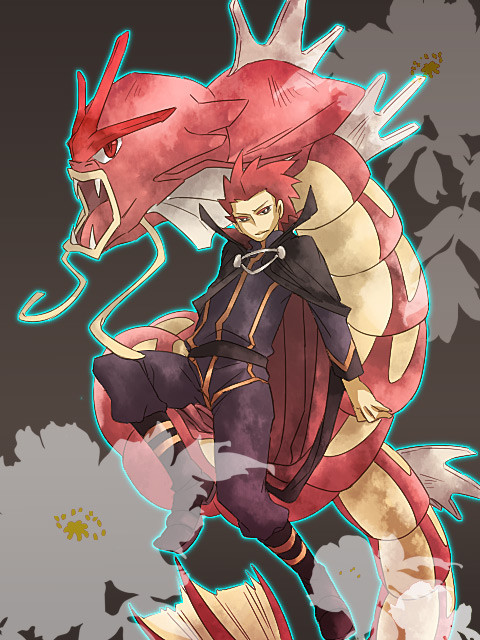 以上就是阿渡的宝可梦了,期待它