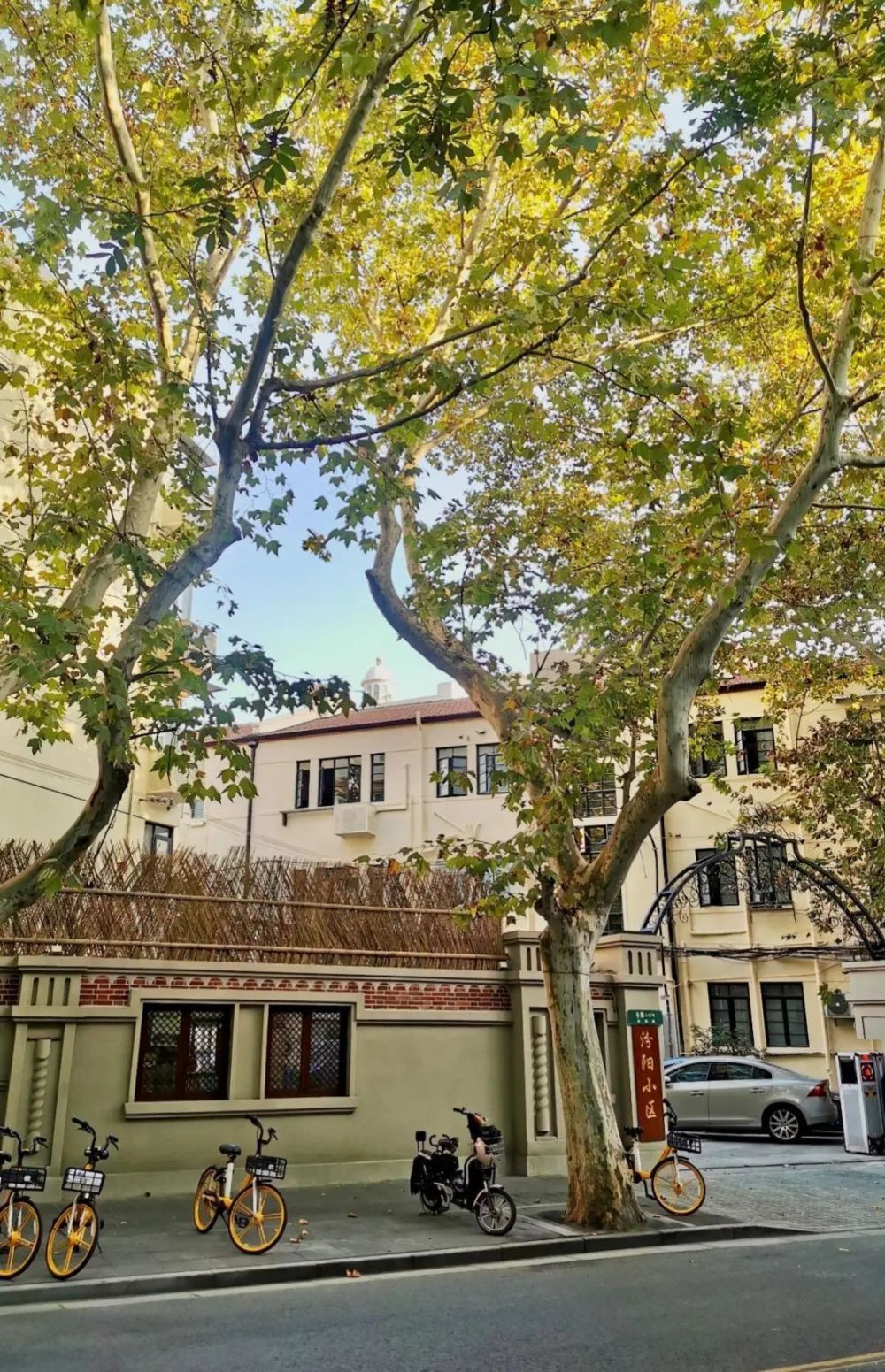 "荡荡"汾阳路,与美妙乐章不期而遇|建筑可阅读_腾讯新闻