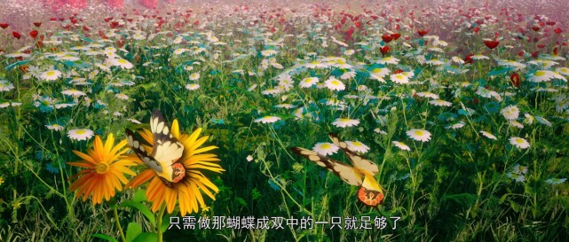 完美世界：石昊为何要隐和瞒清漪结为道侣，还要坚持的火灵儿完婚-古次元