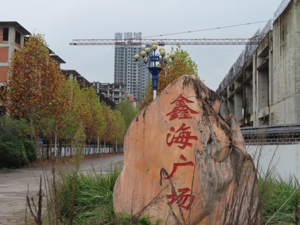重庆新加坡风情园停摆7年 开发商"失联",法院曾发"悬赏令"征集线索丨