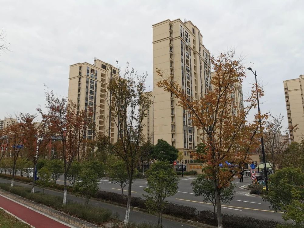 炫彩交织增暖色来宝山尚北路看新顾城新风景