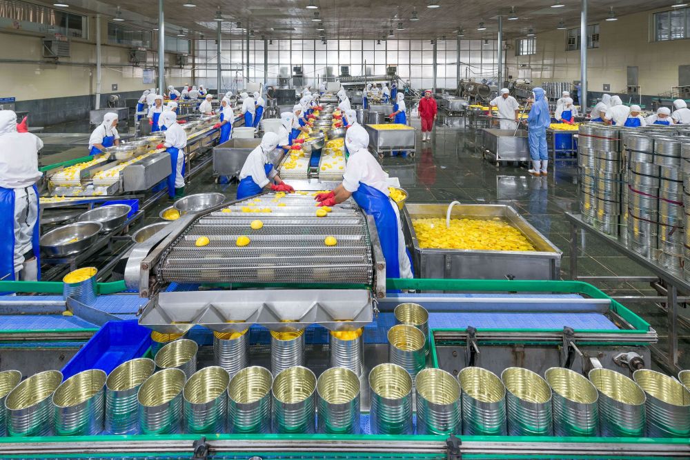 订单暴涨十倍 山东小镇生产出全国三成的黄桃罐头_腾讯新闻