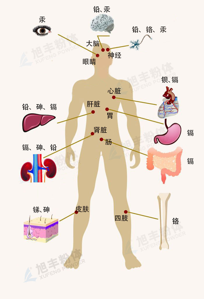 重金属含量超标对人体的危害_腾讯新闻