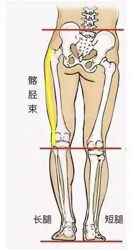 商业洞察｜DTC品牌的神话破灭了吗？poe天赋树