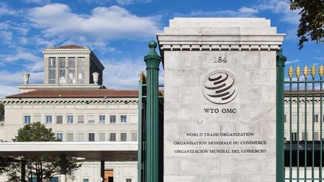 中国在WTO要求美日荷弄清是否存在芯片出口限制协议