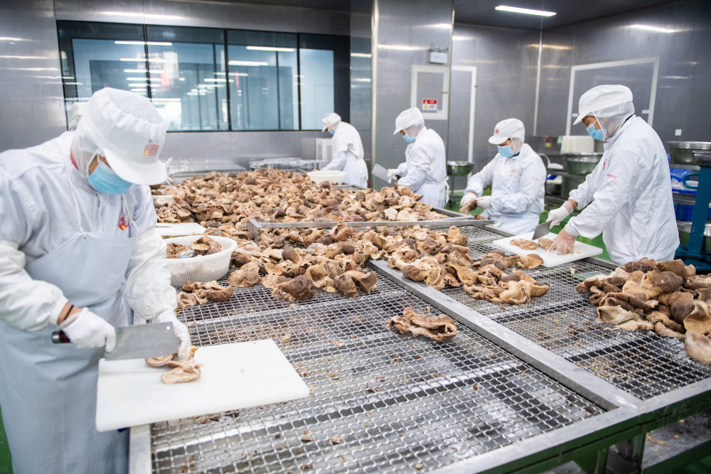 (新华全媒 )湖南宁乡:食品企业加工忙