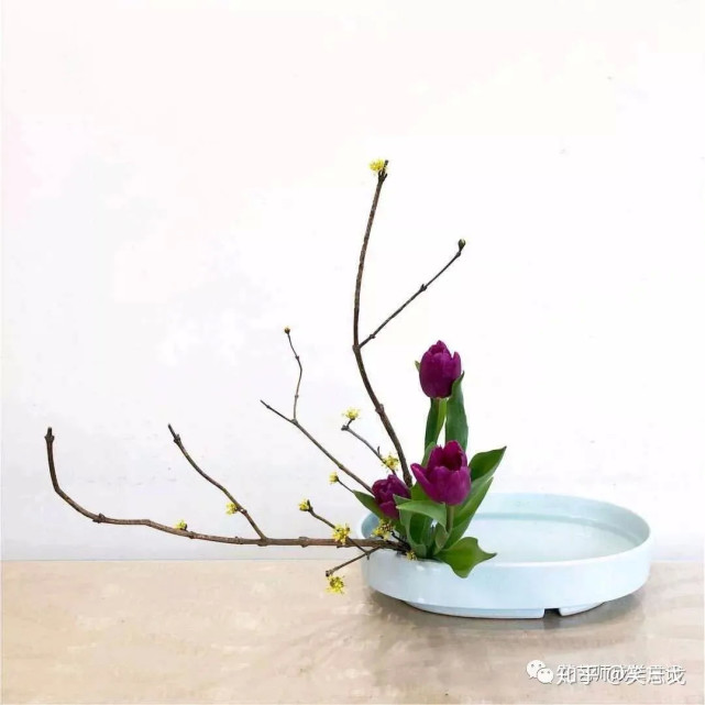 平卧式不等边三角形花艺