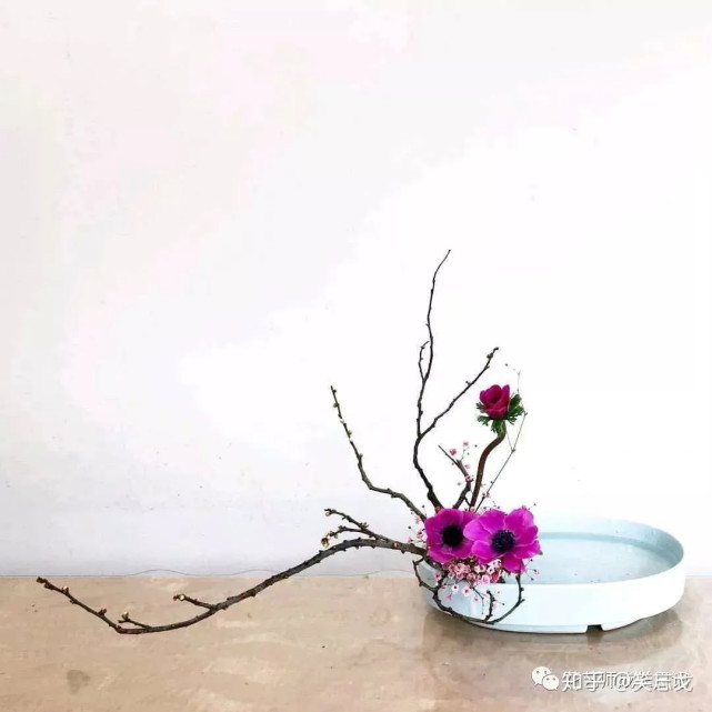 平卧式不等边三角形花艺