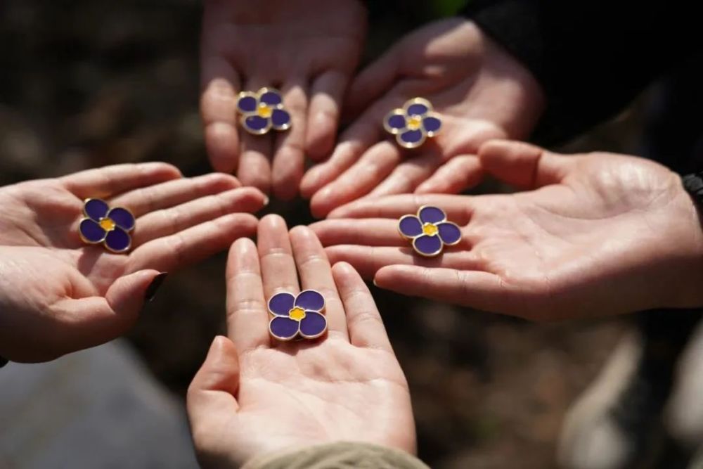 勿忘国耻圆梦中华紫金草行动一直在路上