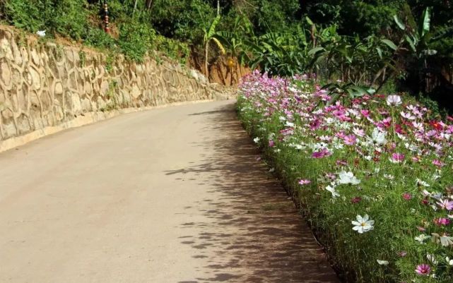 近年来,墨江县孟弄彝族乡立足自身发展定位,坚持秉承"绿水青山就是