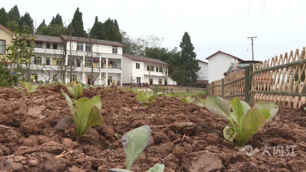 东兴区田家镇发展庭院经济改善人居环境