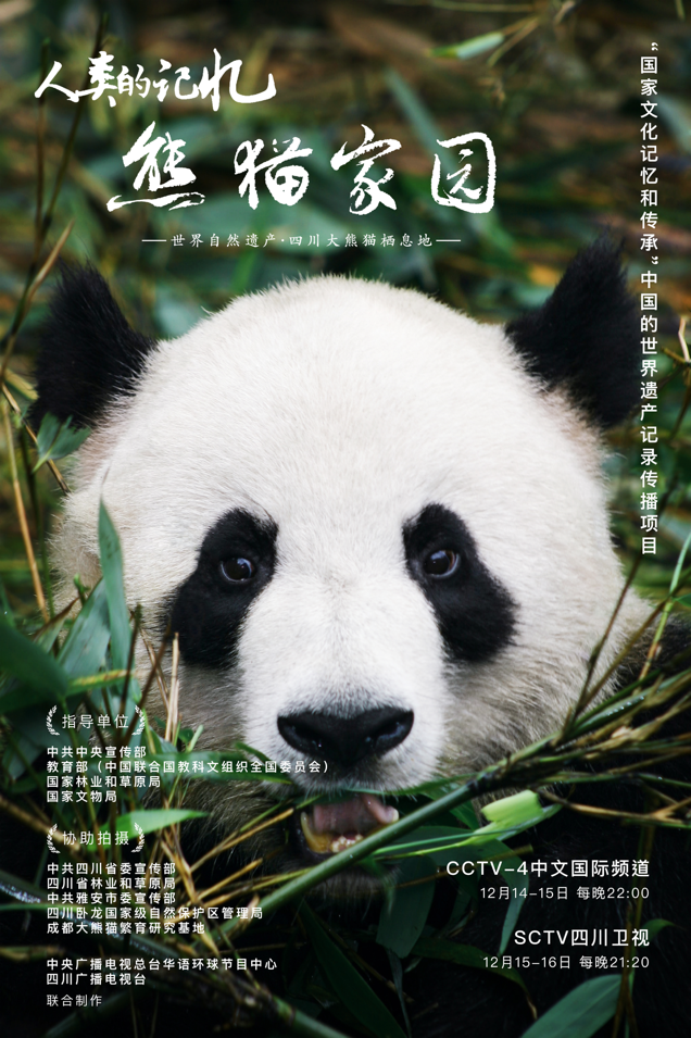 历时一年半跟踪拍摄纪录片熊猫家园今晚央视首播