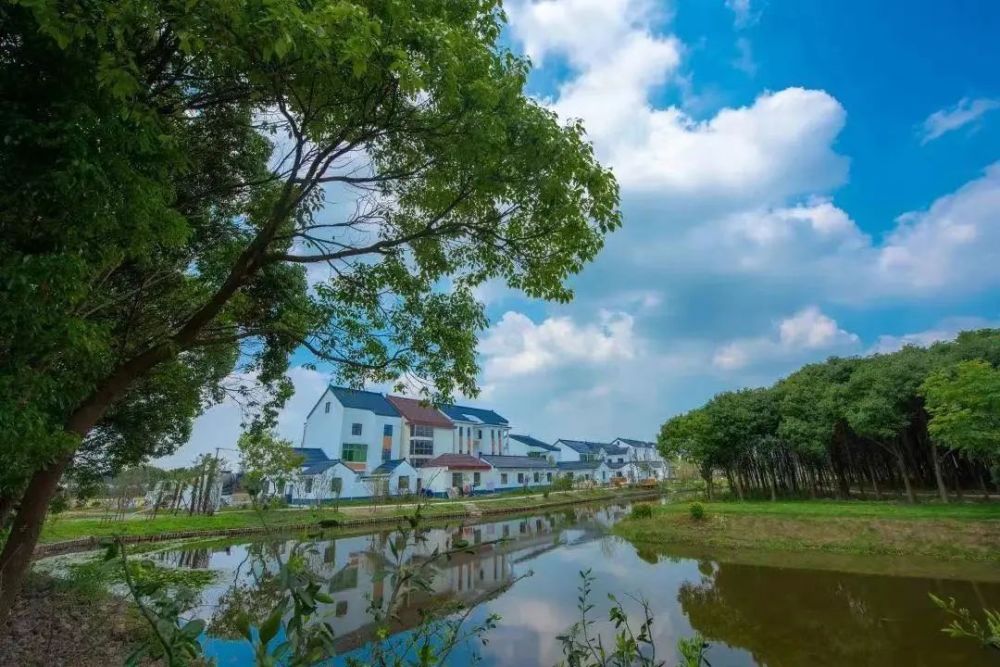 上海又添一座郊野公园含70多座小岛这样直达最方便此外