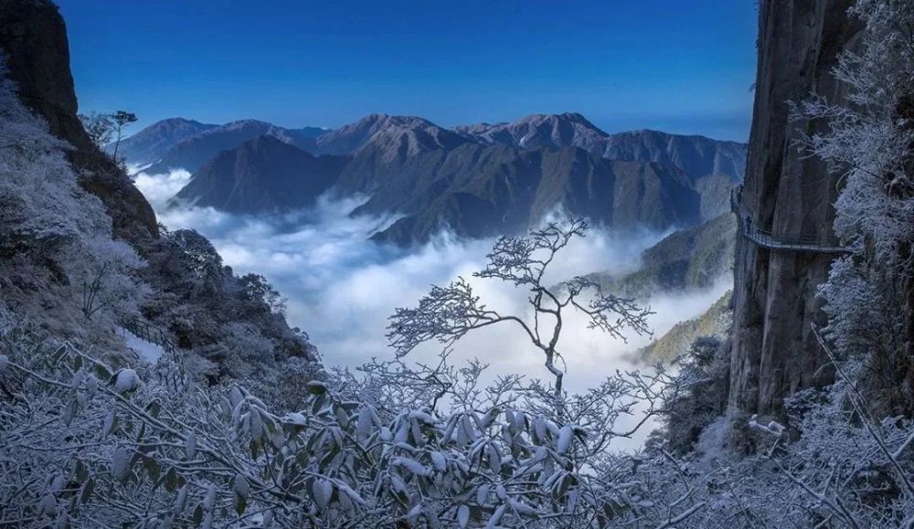 【森旅推薦】冷空氣來襲,這週六看雪景?