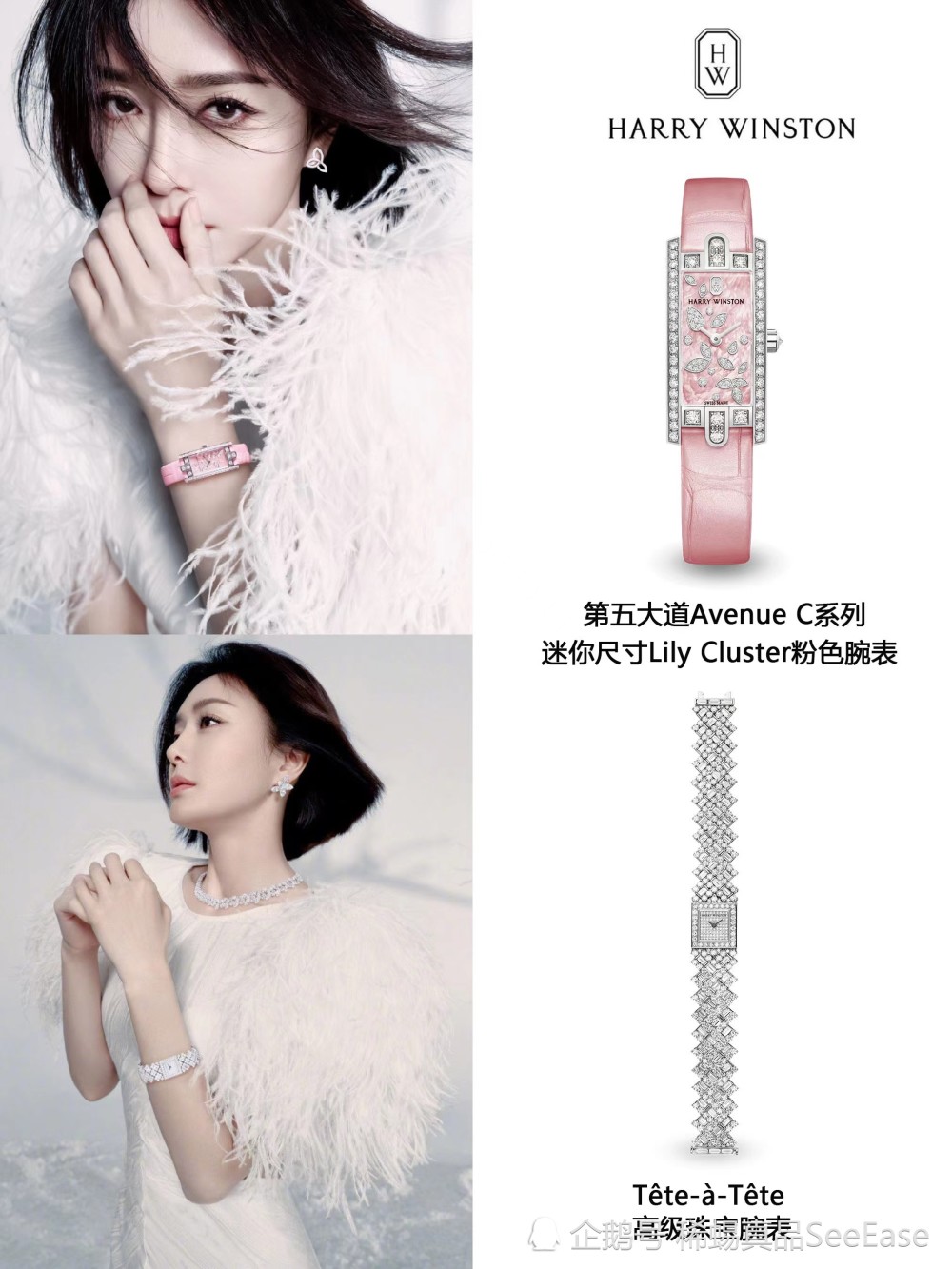 女生必看！秦岚同款海瑞温斯顿珠宝腕表