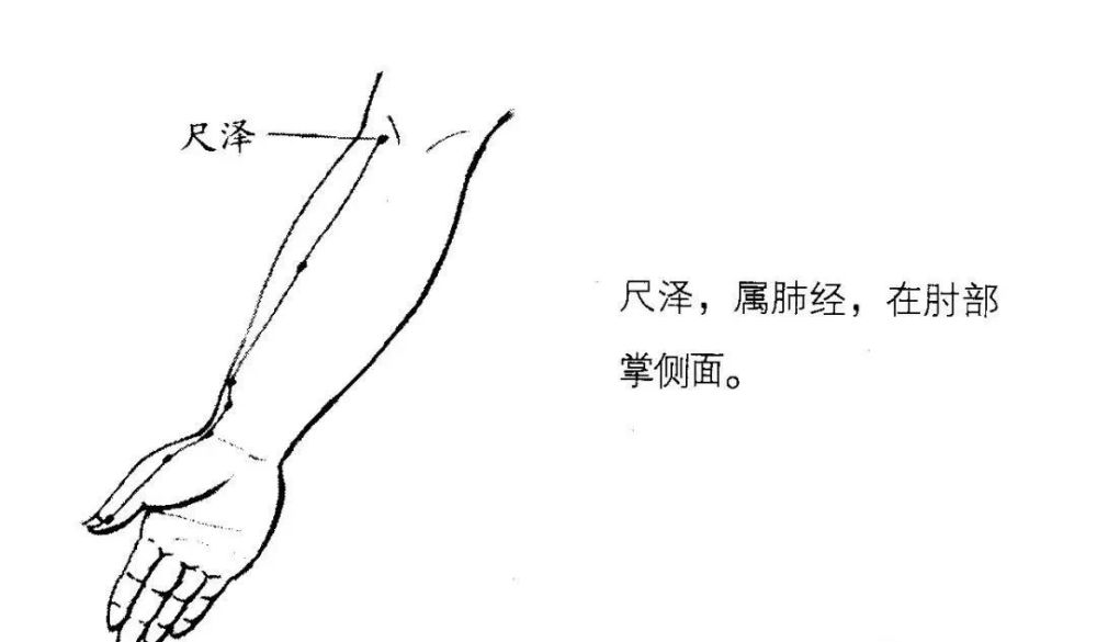 右手上抬至胸部水平,左手五指并拢,用左手掌拍打右上肢肺经.
